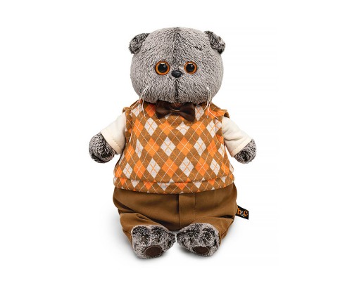 Кот Басик в трикотажном жилете