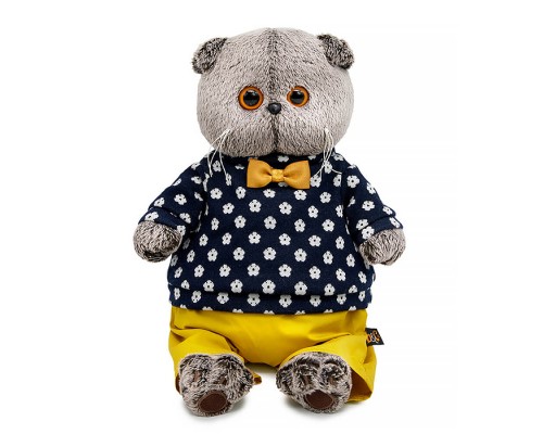 Кот Басик в джемпере в цветочек