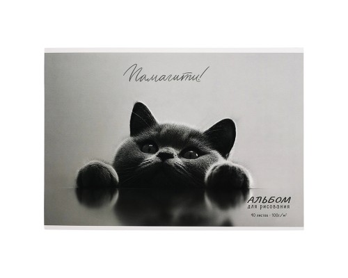 Альбом для рисования 40л. "Британский Кот" А4 блок - белый офсет 100 г/м&sup2;