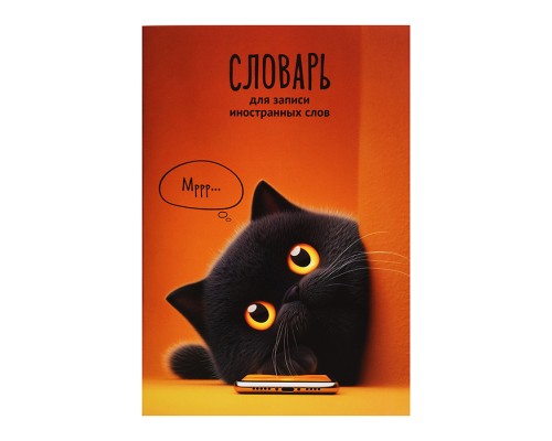Тетрадь для изучения иностранных слов "Кот с телефоном" А5, 24 л.