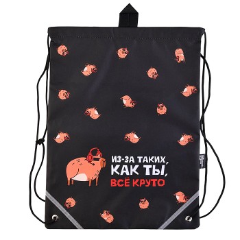 Мешок для обуви "Крутая капибара" 1 отделение, 36x48 см, полиэстер