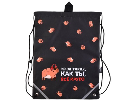 Мешок для обуви "Крутая капибара" 1 отделение, 36x48 см, полиэстер