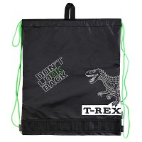 Сумка для сменной обуви "T-Rex" 40x47 см, износостойкий полиэстер с водоотталкивающей пропиткой, 1 отделение, на веревочной завязке, с вставкой из пластиковой сетки для вентиляции, с петлей для повеса и переноски, черный