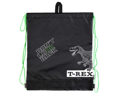 Сумка для сменной обуви "T-Rex" 40x47 см, износостойкий полиэстер с водоотталкивающей пропиткой, 1 отделение, на веревочной завязке, с вставкой из пластиковой сетки для вентиляции, с петлей для повеса и переноски, черный
