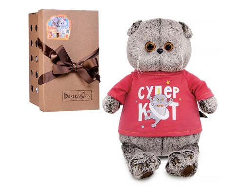 Кот Басик в лонгсливе с принтом "Супер кот"