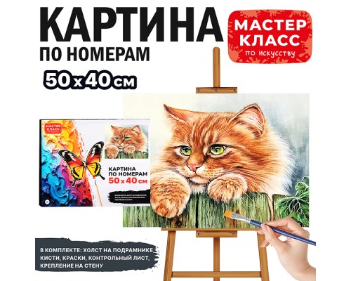 Набор для рисования "Картина по номерам 40*50 см. Рыжий кот"