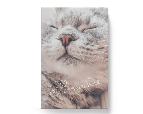 Блокнот 40л. А6 склейка "Расслабься"