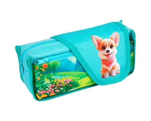 Пенал "My Little Corgi" 21x9x5,5 см, износостойкий полиэстер с водоотталкивающей пропиткой, отделение на молнии, прямоугольный для 45 предметов, наружный карман на молнии, ассиметричная створка на липучке, полноцветная печать