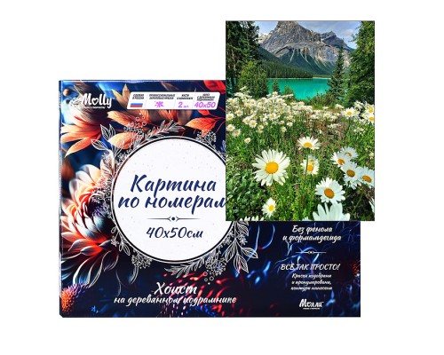 Картина по номерам 40х50 "Ромашковое поле в горах" (25 цветов)