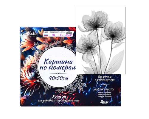 Картина по номерам 40х50 "Монохромная цветочная композиция" (8 цветов)