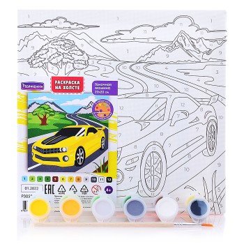 Раскраска по номерам на холсте "Гоночная машина" 20х20