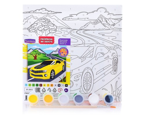 Раскраска по номерам на холсте "Гоночная машина" 20х20