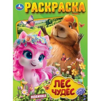 Раскраска "Лес чудес"