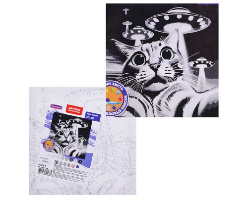 Картина по номерам "Кот в панике" 20х20см