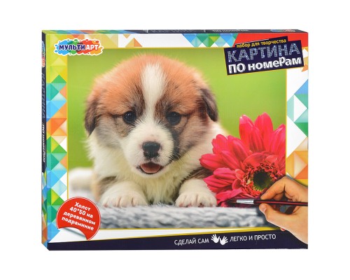Картина по номерам 40х50 "Собачка"