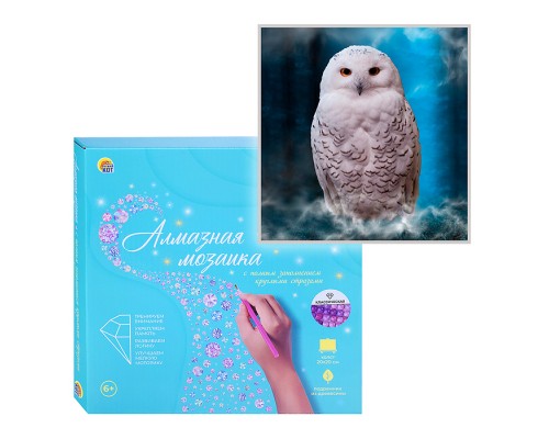 Алмазная мозаика 20х20 "Сова в темном лесу" с подр., с полн. заполн. (класс.) (24цв)
