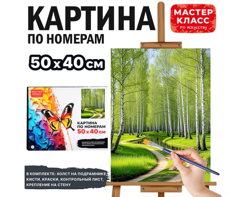 Набор для рисования "Картина по номерам 40*50 см. Березовая роща"