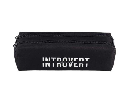 Пенал "Introvert" 21x6x6 см, плотный износостойкий полиэстер с водоотталкивающей пропиткой, 2 отделения на молнии, прямоугольный для 40 предметов, черный