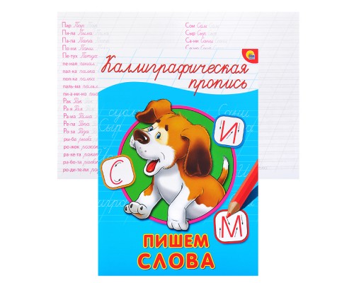 Каллиграфическая пропись А4. Пишем слова