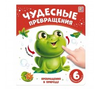 Чудесные превращения. Превращения в природе