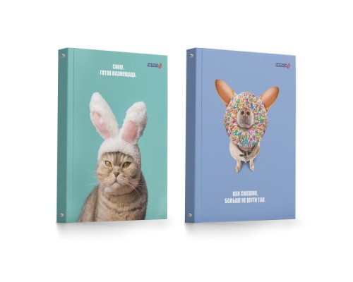 Тетрадь 120л. клетка "Кот и пес" со сменным блоком, матовая ламинация, на кольцах