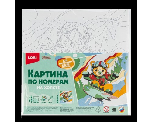 Картина по номерам на холсте 20х20 "Сноубордист"