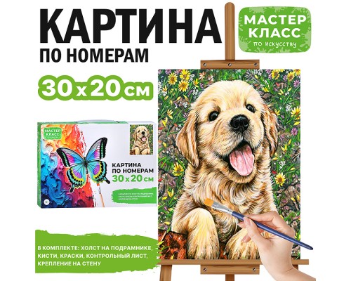 Картина по номерам "Забавный щенок"  30х20 см.