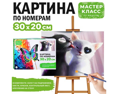 Картина по номерам "Инь и Янь" 30х20 см.