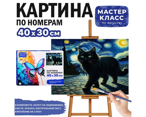 Картина по номерам MKR4030-26 "Чёрный кот" 30х40 см.