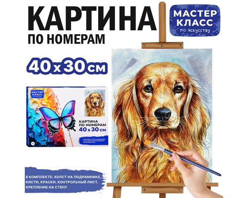 Картина по номерам MKR4030-30 "Спаниель" 30х40 см.