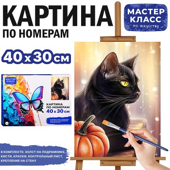 Картина по номерам "Чёрный кот" 30х40 см.