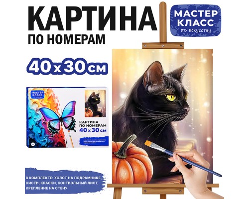 Картина по номерам "Чёрный кот" 30х40 см.