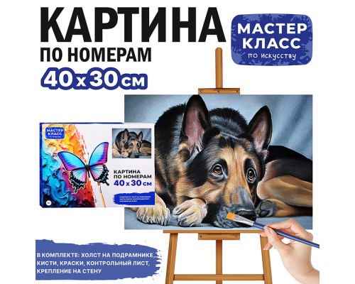 Картина по номерам "Овчарка" 30х40 см.