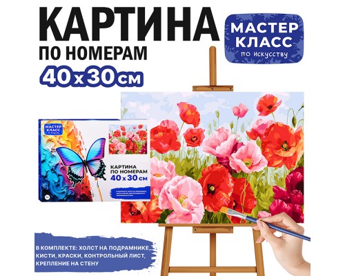 Картина по номерам MKR4030-40 "Маки в поле" 30х40 см.