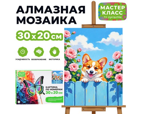 Картина по номерам "Корги" 30х20 см.