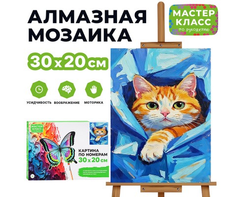 Картина по номерам "Котик в пледе" 30х20 см.
