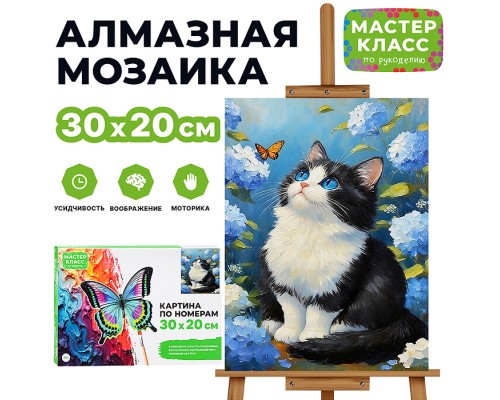 Картина по номерам "Синеглазка" 30х20 см.