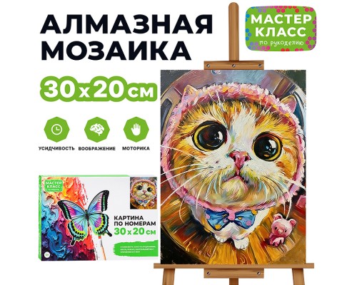 Картина по номерам "Большие глаза" 30х20 см.