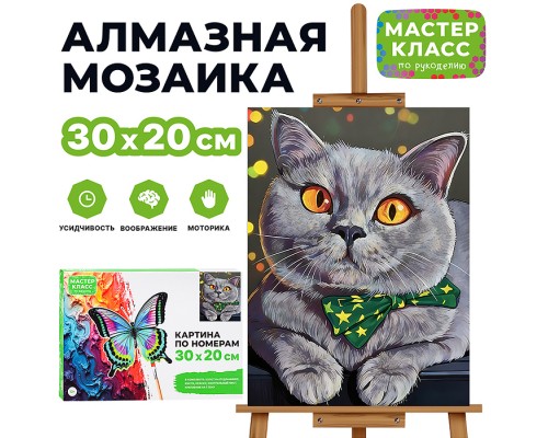 Картина по номерам "Любопытство" 30х20 см.
