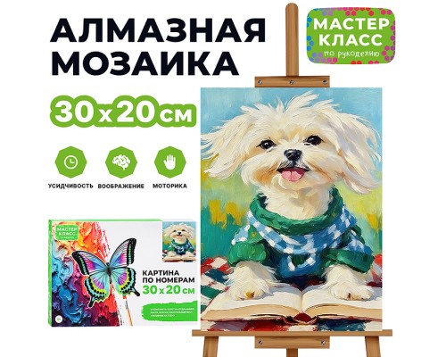 Картина по номерам "Читатель" 30х20 см.