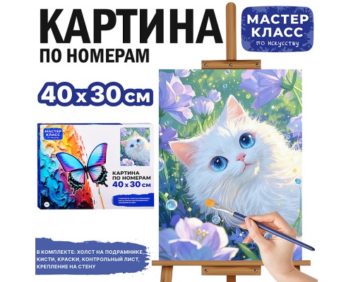 Картина по номерам "Мечтатель" 40х30 см.