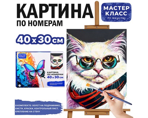Картина по номерам MKR4030-153 "Важный кот" 40х30 см.