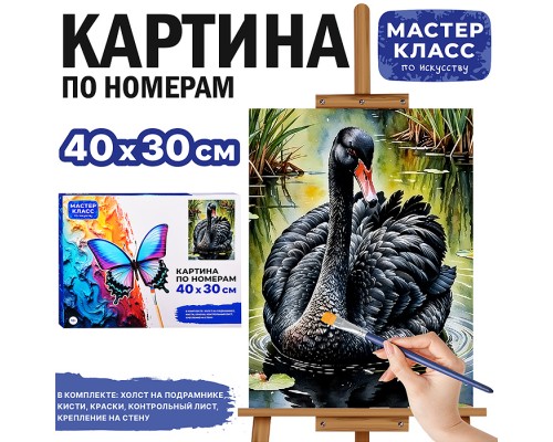 Картина по номерам MKR4030-156 "Черный лебедь" 40х30 см.