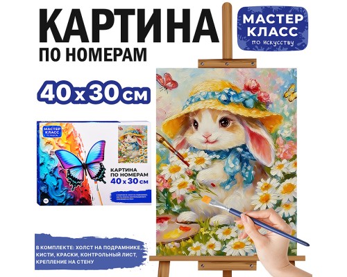 Картина по номерам MKR4030-158 "Художница" 40х30 см.