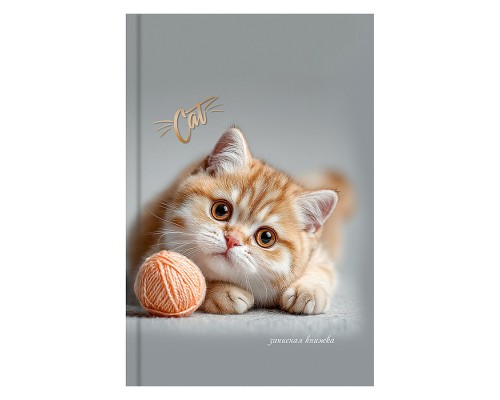 Записная книжка А6 64л. "Котенок с клубком" 7БЦ, глянц. ламинирование, цвет. мелов. обл.