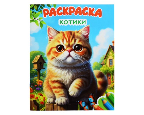 Книга Звездочка. Котики