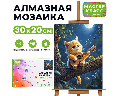Мозаика алмазная "Котик с гитарой" 20*30см.