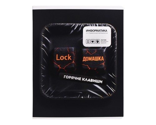 Тетрадь 48 л. клетка "Фразы с характером" Информатика