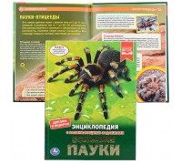 Большие пауки (энциклопедия А4 с развивающими заданиями)