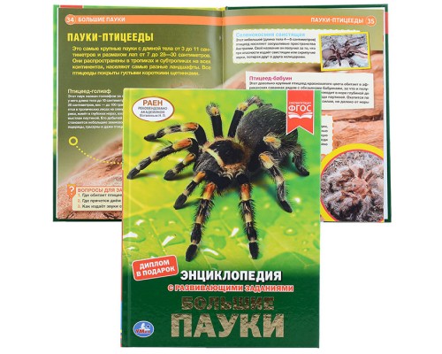 Большие пауки (энциклопедия А4 с развивающими заданиями)